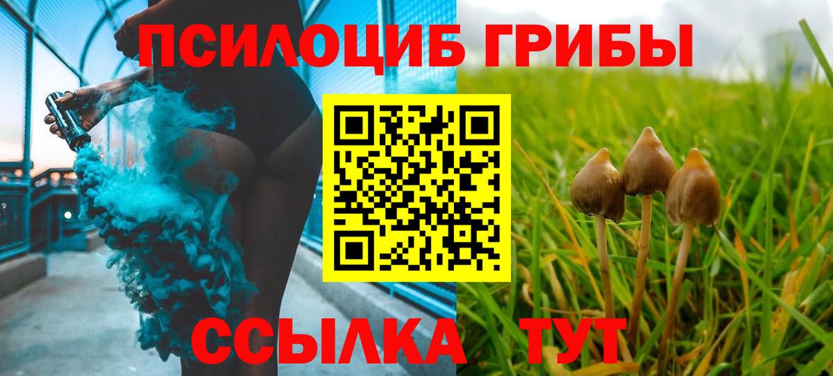 Псилоцибиновые грибы MAGIC MUSHROOMS Ирбит