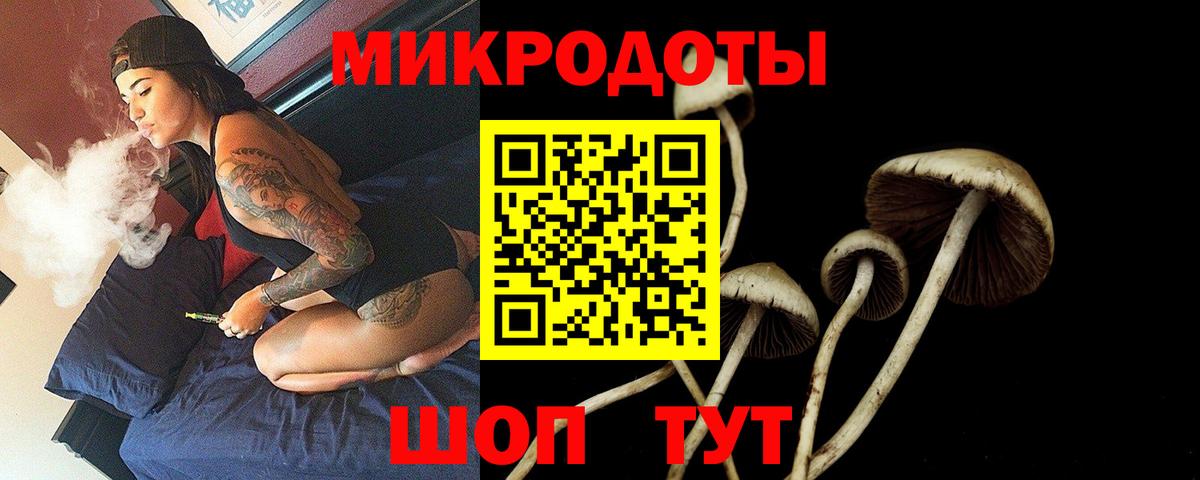 что такое наркотик  Псилоцибиновые грибы мухоморы  Вход с VPN  Ирбит  Псилоцибиновые грибы MAGIC MUSHROOMS 
